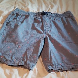 Mens casual flamingo shorts